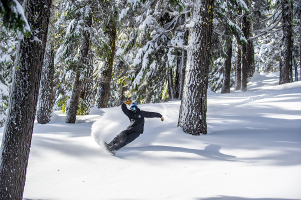 Person snowboarding downhill in the forest